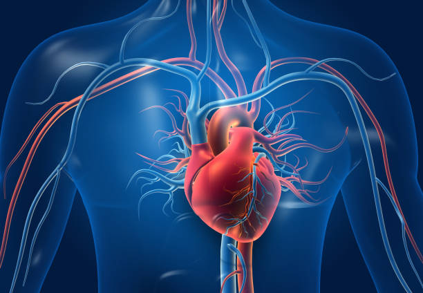 Contact CardioVerse Clinic